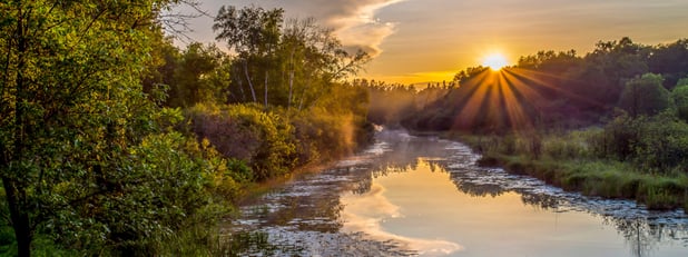 World Wetlands Day is Today, February 2nd. Learn Why Wetlands Are Important.